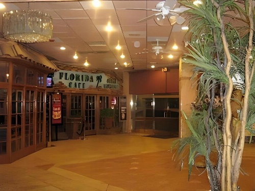 Shalimar Hostel image 8